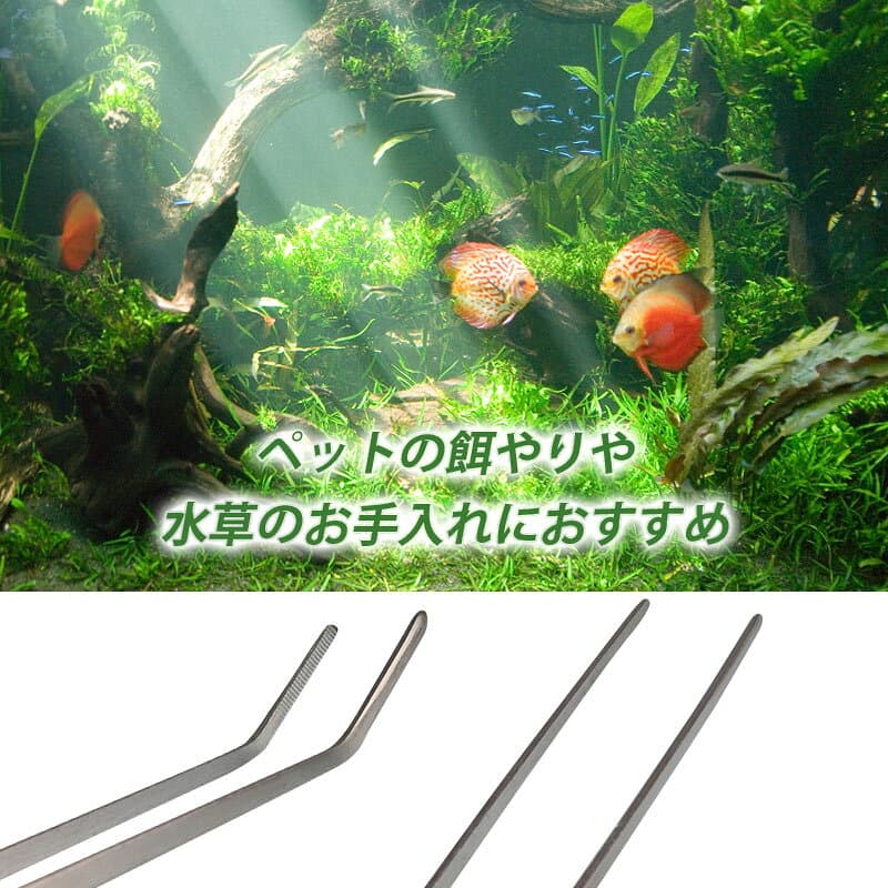 水槽用ピンセット 2本セット 超ロング 38cm ストレート カーブ ステンレス 丈夫 餌やり メンテナンス 長持ち ハーバリウム ピンセット ロング 水槽用 アクアリウム 水草 セッティング トリミング 熱帯魚 花 ドライ ブリザード フラワー インテリア エサやり 趣味 耐久性 thumbnail 2