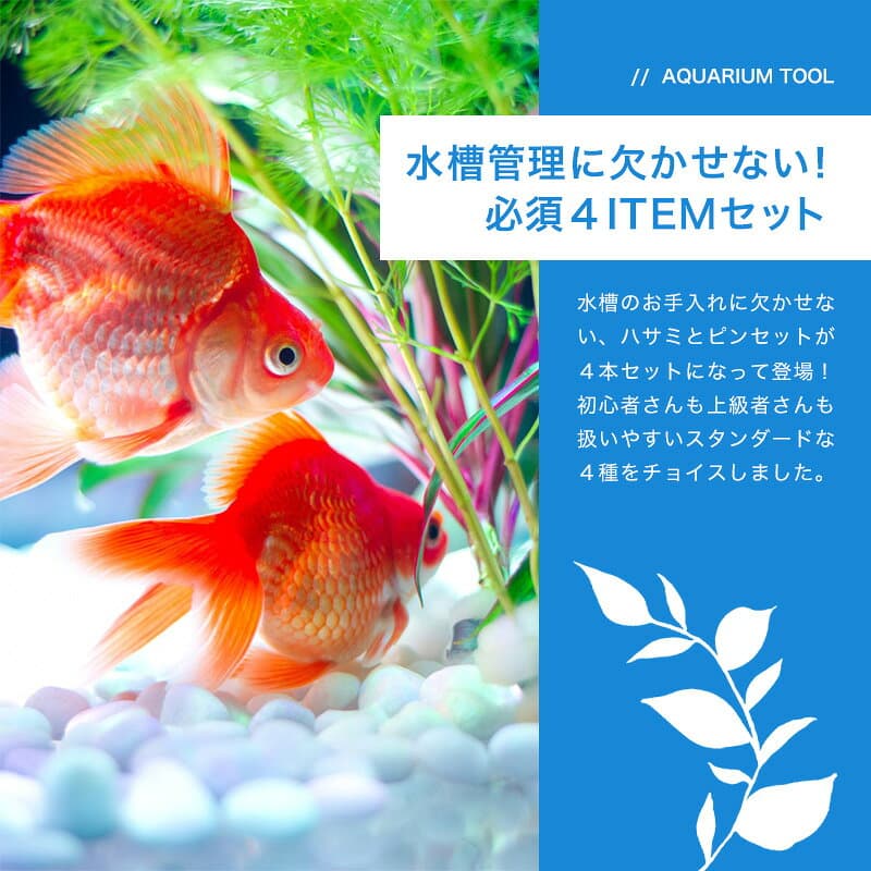 【楽天1位】 水草ハサミ&ピンセット 4本セット アクアリウム 水槽 掃除 ロング ステンレス 水草 錆びない テラリウム トリミング用 ハサミ はさみ ピンセット ストレート カーブ 4点セット ハーバリウム 熱帯魚 メンテナンス レイアウト セッティング ハンドメイド 爬虫類 thumbnail 3