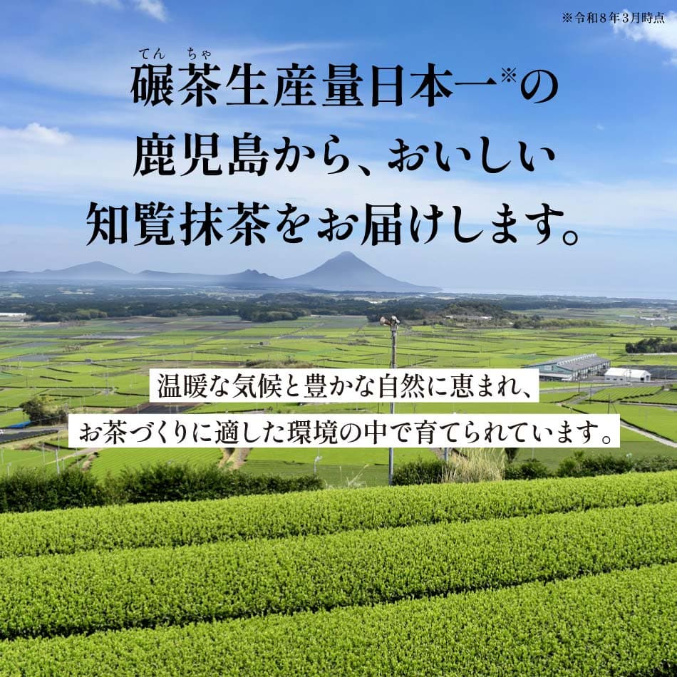 [抹茶 粉末 パウダー 国産] おてがる 知覧抹茶 100g×2本 メール便 送料無料 [ 抹茶ラテ 鹿児島 知覧茶 薄茶 濃茶 ティーラテ お菓子作り スイーツ アレンジ お中元 ギフト 抹茶粉 抹茶スイーツ 抹茶パウダー かごしま 料理 sale0919 RSL] thumbnail 2