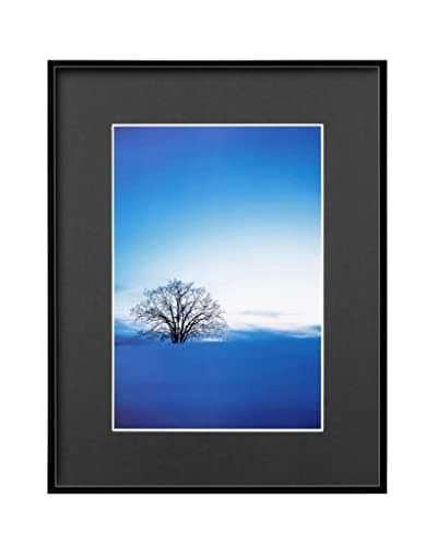 ハクバ HAKUBA 軽量 額縁 ZEROフレーム G-01 A4 ブラック FZG01-A4BK 送料無料