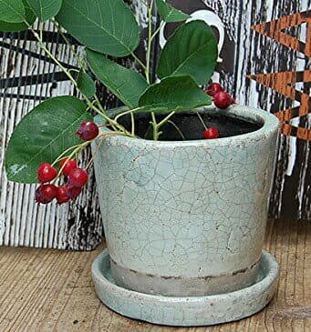 【DULTON】 ダルトン カラー グレーズ ポット 全10色 CH13-G476 COLOR GLAZED POT