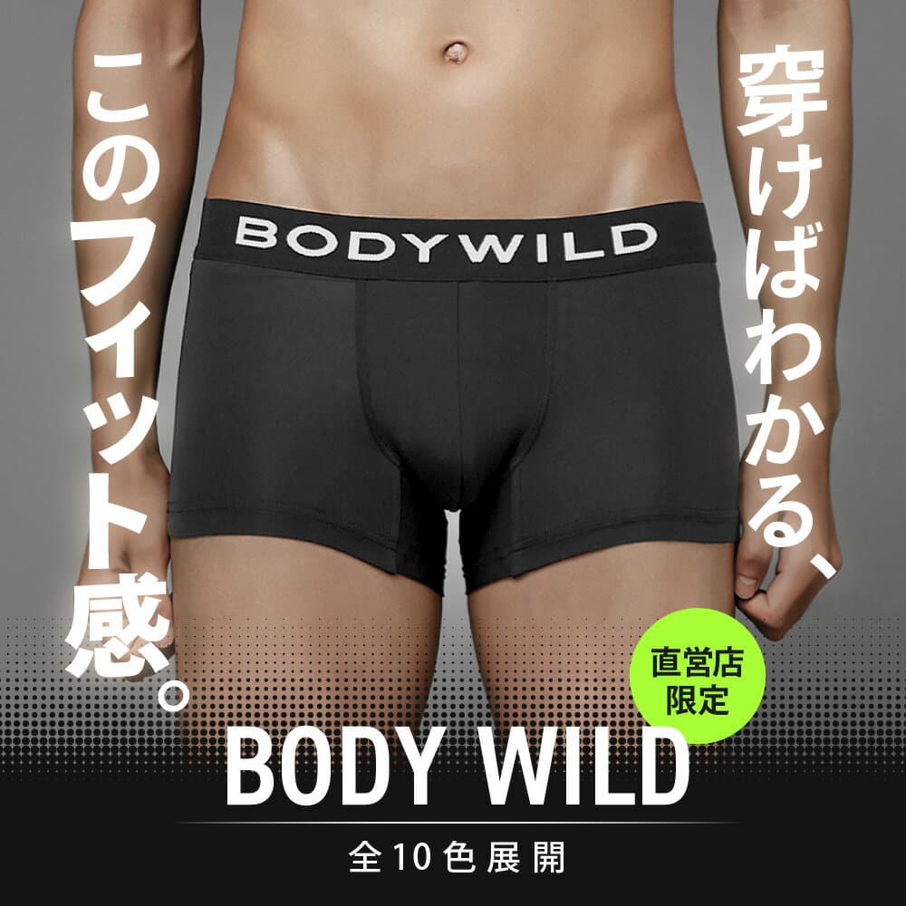 【タイムセール】≪人気カラーがアップデート!!≫グンゼ ボディワイルド ボクサーパンツ 前閉じ ローライズ メンズ 無地 シンプル ストレッチ 誕生日 プレゼント 吸汗 速乾 限定 ボクサーブリーフ フィット おしゃれ 下着 大きいサイズ BODYWILD BW2995P BW2997P S M L LL 3L
