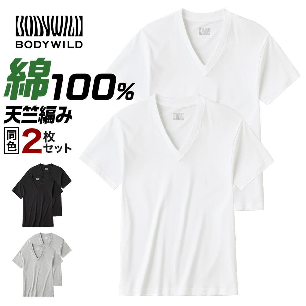≪綿100%で気持ちいい、型くずれしにくいVネックTシャツ≫ グンゼ Tシャツ V首 2枚組 2枚セット パックT 丸首 半袖 メンズ 綿 無地 天竺編み シンプル ベーシック 柔らかい 下着 肌着 インナー 抗菌 ボディワイルド BODYWILD BW5025C M L LL