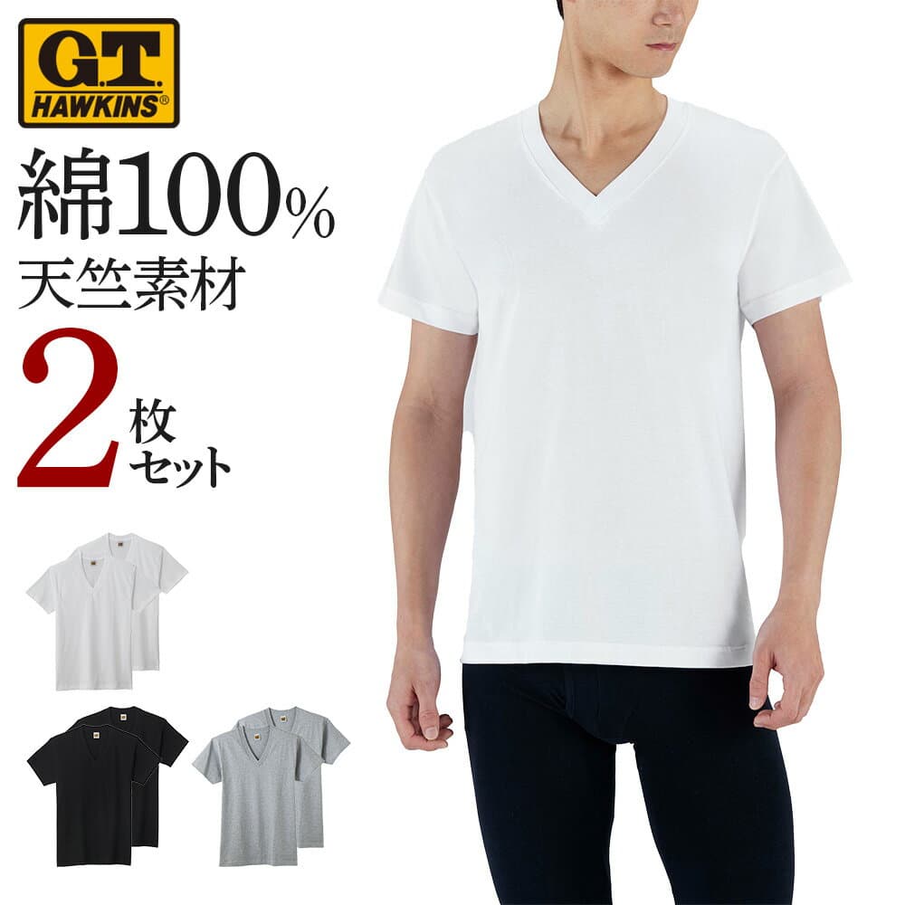 【SALE】ホーキンス Vネック 天竺 Tシャツ 2枚セット メンズ 年間 綿100 半袖 V首 シンプル 無地 M-LL G.T.HAWKINS GUNZE グンゼ 2枚組 2P HK10152 インナーシャツ
