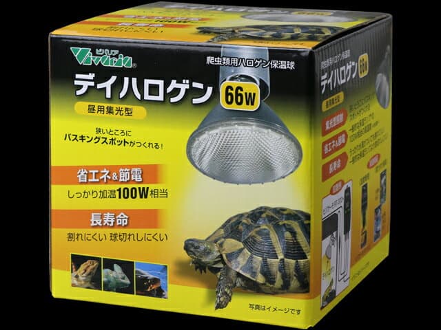 株式会社ビバリア デイハロゲン 66W 爬虫類・両生類 用品 爬虫類・両生類用保温器具 4582443491127 {SK}