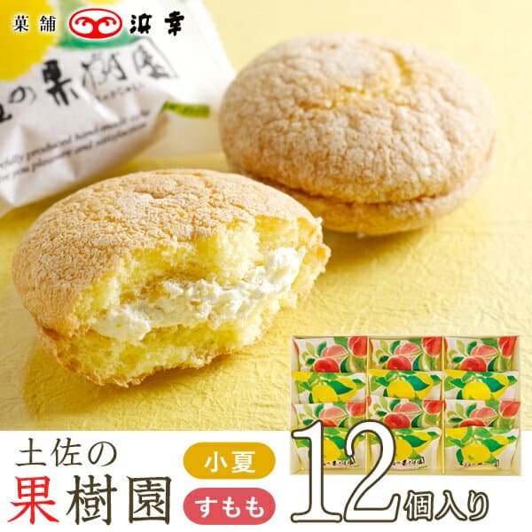 土佐の果樹園12コ入(小夏・すもも) 5596【ブッセ 期間限定 浜幸 高知 お取り寄せ お土産 お菓子 プレゼント おみやげ お中元 内祝い ギフト】