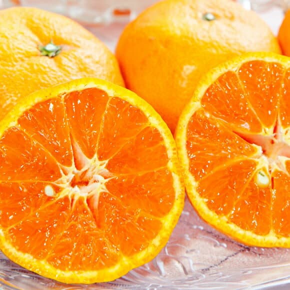 【送料無料】【10本セット】 ミカン ナツミ みかん 南津海 樹高0.6m前後 15cmポット みかん なつみ なつみ 南津海 接木苗 お手軽にベランダでも 苗 植木 苗木 庭 果樹苗 果樹 木 柑橘