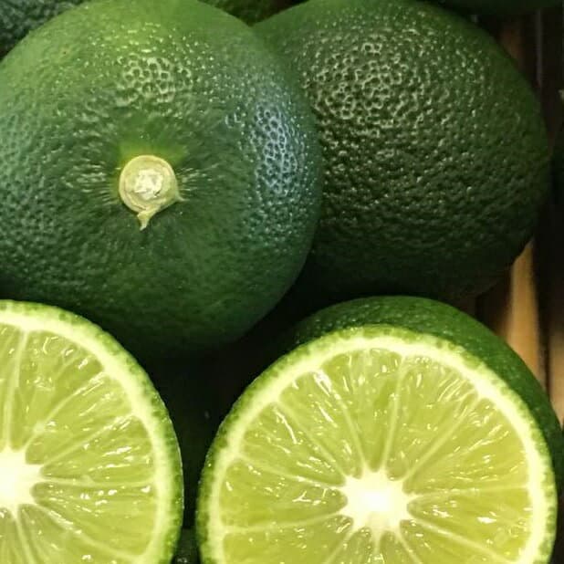 【送料無料】【20本セット】 スダチ 樹高0.2m前後 9.0cmポット すだち 酢橘 接木苗 苗 植木 苗木 庭 果樹苗 果樹 木 柑橘