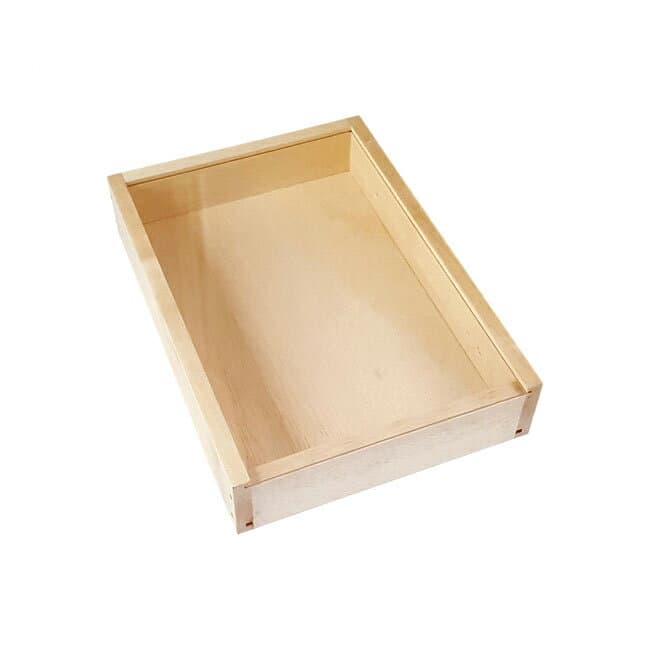 完成品 標本箱中 幅307×奥行219×高さ60mm ディスプレイ 自由研究 昆虫採集 貝殻採集