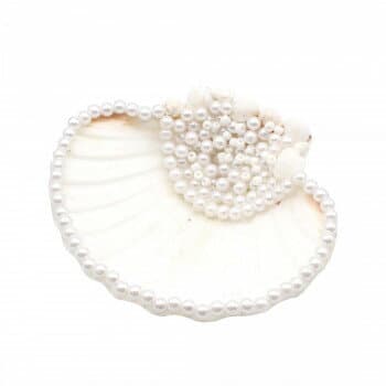 スカラップシェル＆パールトレイ 10825810481【配送方法:メール便/同梱不可/代引不可/日時指定不可】【北海道・沖縄・離島は配達不可】