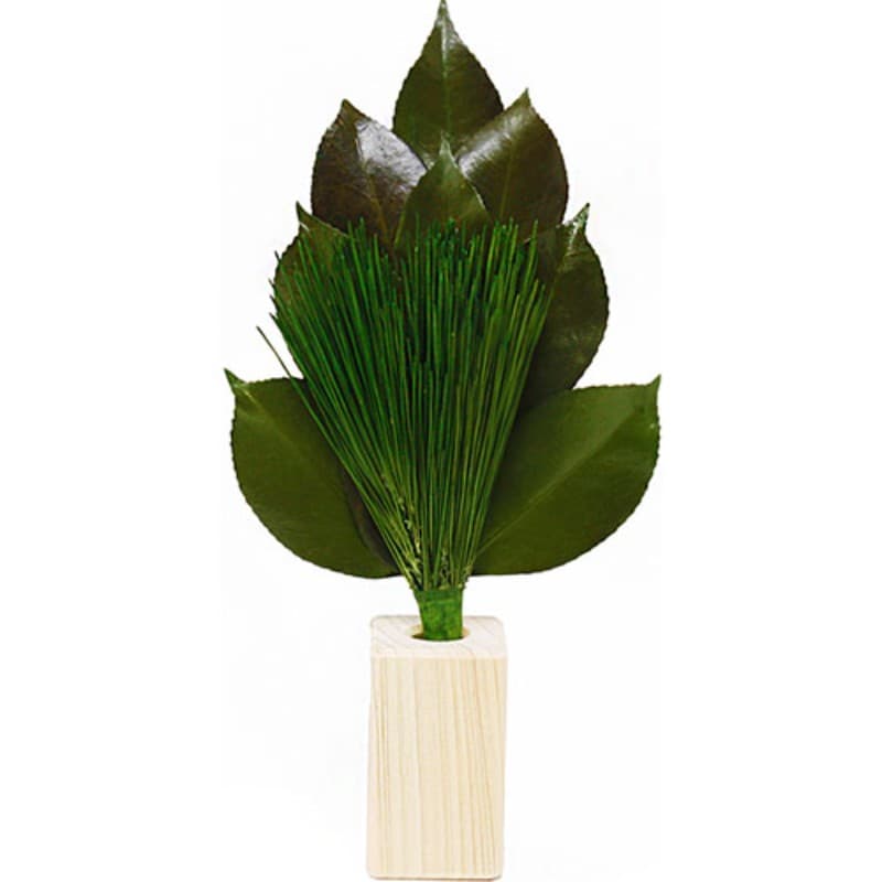 A&K 荒神松S 榊立てセット ST-005 プリザーブド加工 [▲][AS]