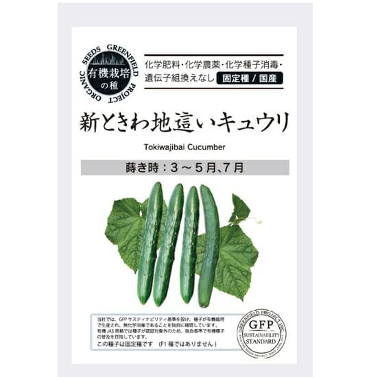 A721 きゅうり（新ときわ地這いキュウリ）[果菜のタネ] 有機種子・固定種 4560496703763