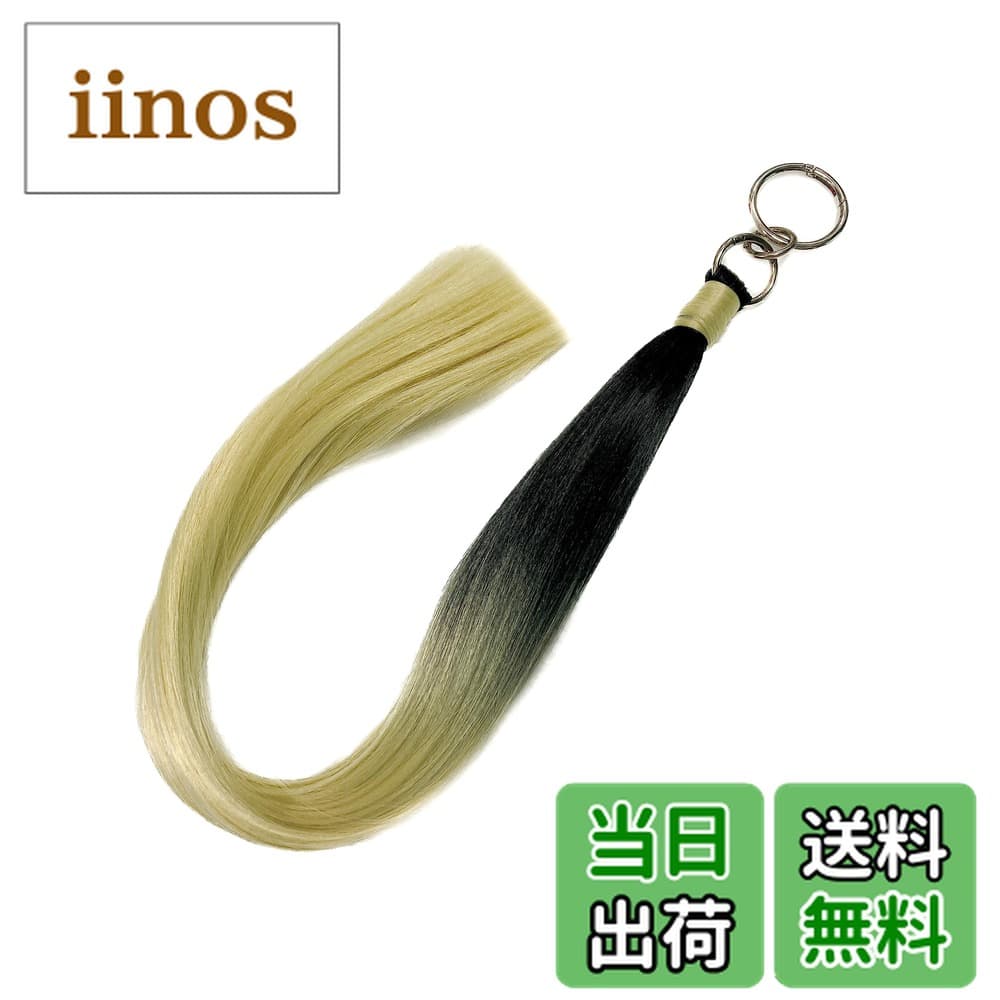 【送料無料】エクステリング 100g リングエクステ ポニーテール グラデーションカラーシリーズ2 Styledock 色：ブラックxブロンズ