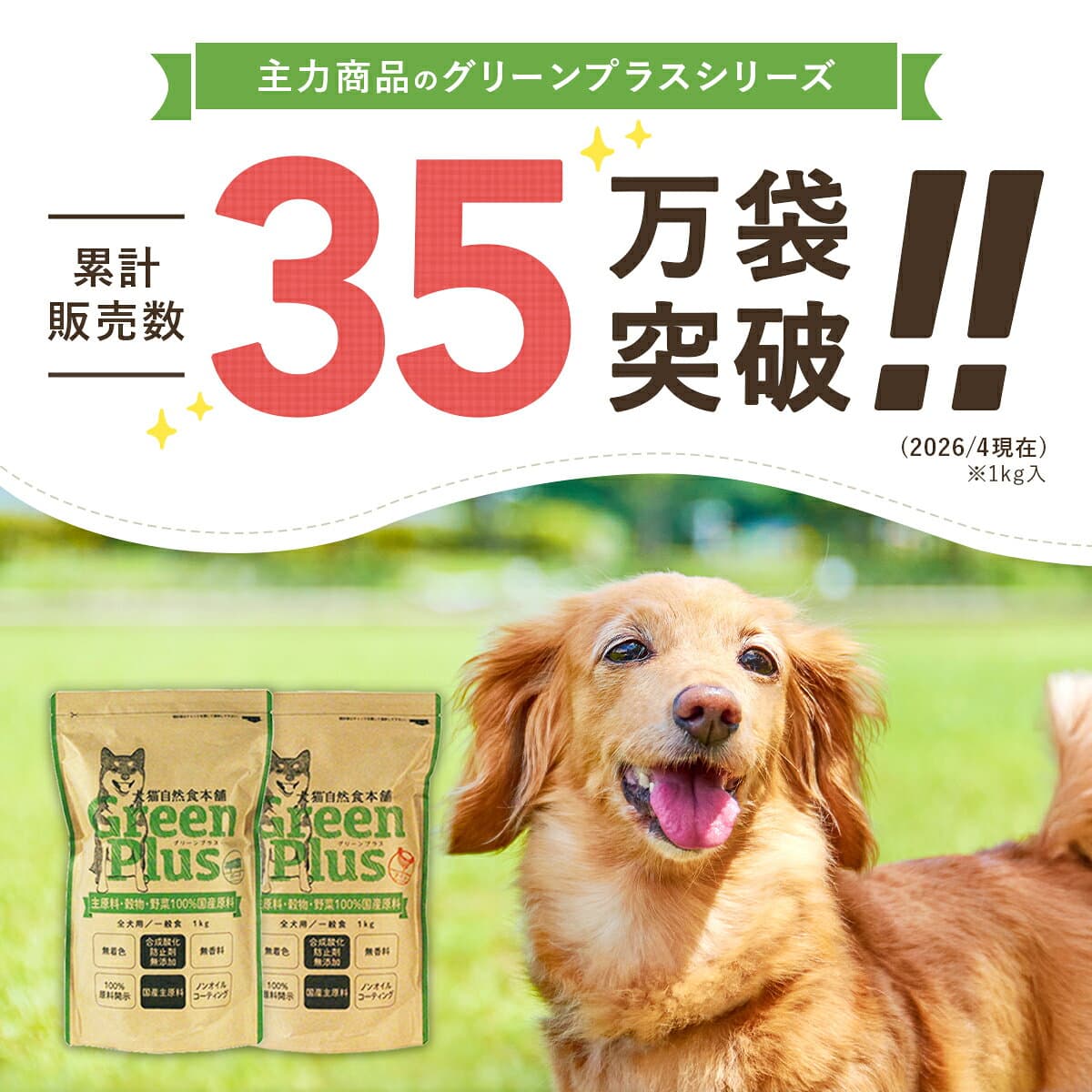 ドッグフード お試しフルセット ドライフード＆レトルトフード7種9点入り【送料無料】|ドッグフード 国産 無添加 お試し サンプル セット 犬 ペットフード 全年齢対応 全犬種対応 ドライ シニア 幼犬 子犬 パピー 小型 成犬 thumbnail 2