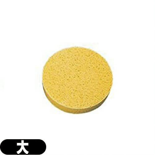 【ネコポス送料無料】【専用スポンジ】低周波治療器 スーパーテクトロン HP200専用替えスポンジ 大 (1個入)【smtb-s】