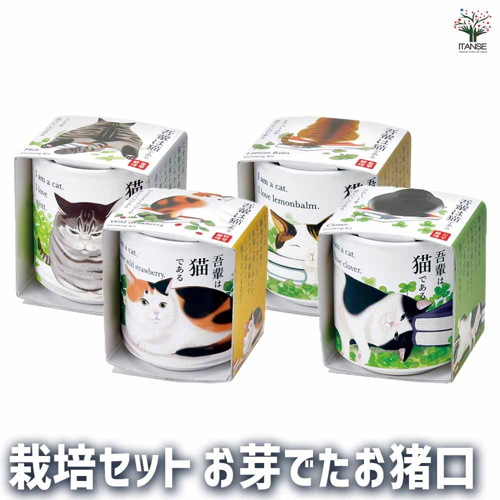 【ポイントUP★マラソン期間】栽培セット お芽でたお猪口 吾輩 かわいい猫デザインの栽培キット 簡単キット 栽培キット お手軽ガーデニング 室内 送料無料 即納