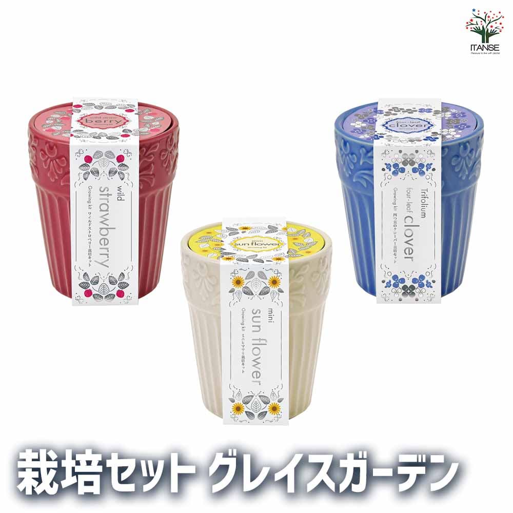 【ポイントUP★マラソン期間】栽培セット グレイスガーデン オシャレ鉢で栽培★ 簡単キット 栽培キット お手軽ガーデニング 室内 送料無料 即納