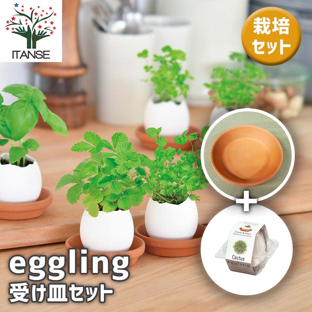 【送料無料】 栽培セット eggling 受け皿付き 【 おしゃれな栽培キット 】 簡単キット 栽培キット お手軽ガーデニング