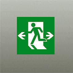 大光電機（DAIKO）　防災照明 誘導灯 避難口誘導灯用パネル B級BH形（20A形）・B級BL形（20B形）　【品番：DP-36857E】