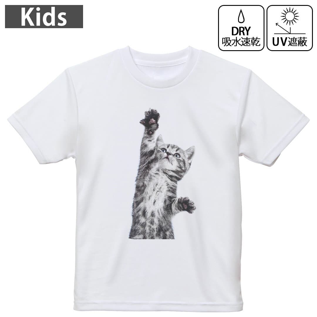 キッズ ドライTシャツ ホワイト 半袖 4.1オンス トレーニング スポーツ ジム 運動会 ドライアスレチック UVカット 紫外線遮蔽 吸水速乾 120 130 140 150 160 001200 アニマル ネコ　動物