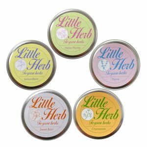 リトルハーブ　NEW！！　栽培キット　栽培セット【代引不可】[02]