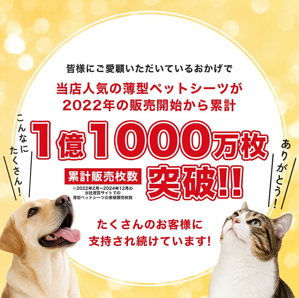 ペットシーツ 薄型 ワイド 400枚 レギュラー 800枚 スーパーワイド 200枚 トイレシーツ 大容量 まとめ買い 業務用 ペット用 ペットシート トイレシート 犬 猫 おしっこシート ペット用 ペットシート ワイドシーツ thumbnail 3