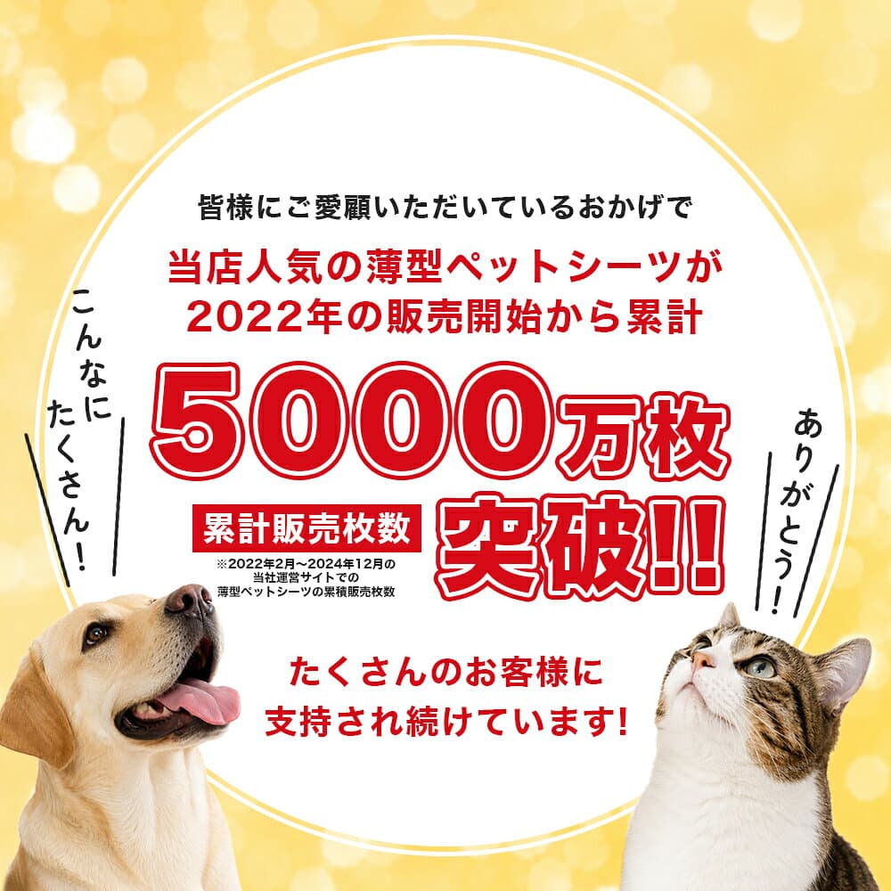 ＼クーポン利用で300円OFF 10/9(金)1:59まで／ ペットシーツ 薄型 ペットシート レギュラー 1200枚 (100枚x12) ワイド 600枚 (50枚x12) スーパーワイド 300枚 (25枚x12) ペットシート まとめ買い ペット シーツ 業務用 ペット用 トイレシート 犬 ペットシーツワイド thumbnail 3