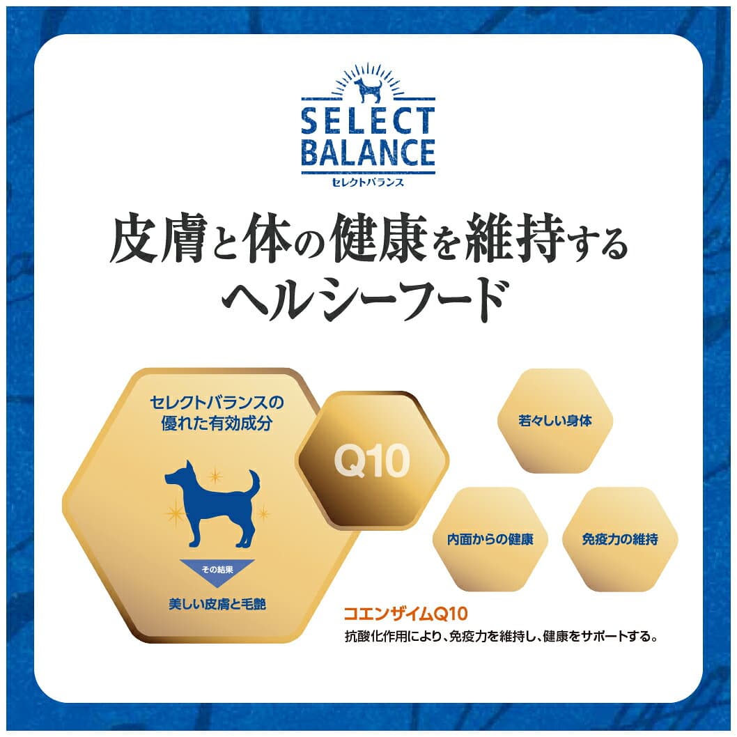 【ポイント最大10倍！10/4 20:00〜10/9 01:59まで】 セレクトバランス エイジングケア 7才以上の成犬用 チキン 小粒 1kg thumbnail 2