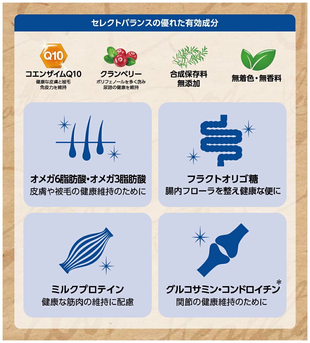 【ポイント最大10倍！10/4 20:00〜10/9 01:59まで】 セレクトバランス エイジングケア 7才以上の成犬用 チキン 小粒 1kg thumbnail 3