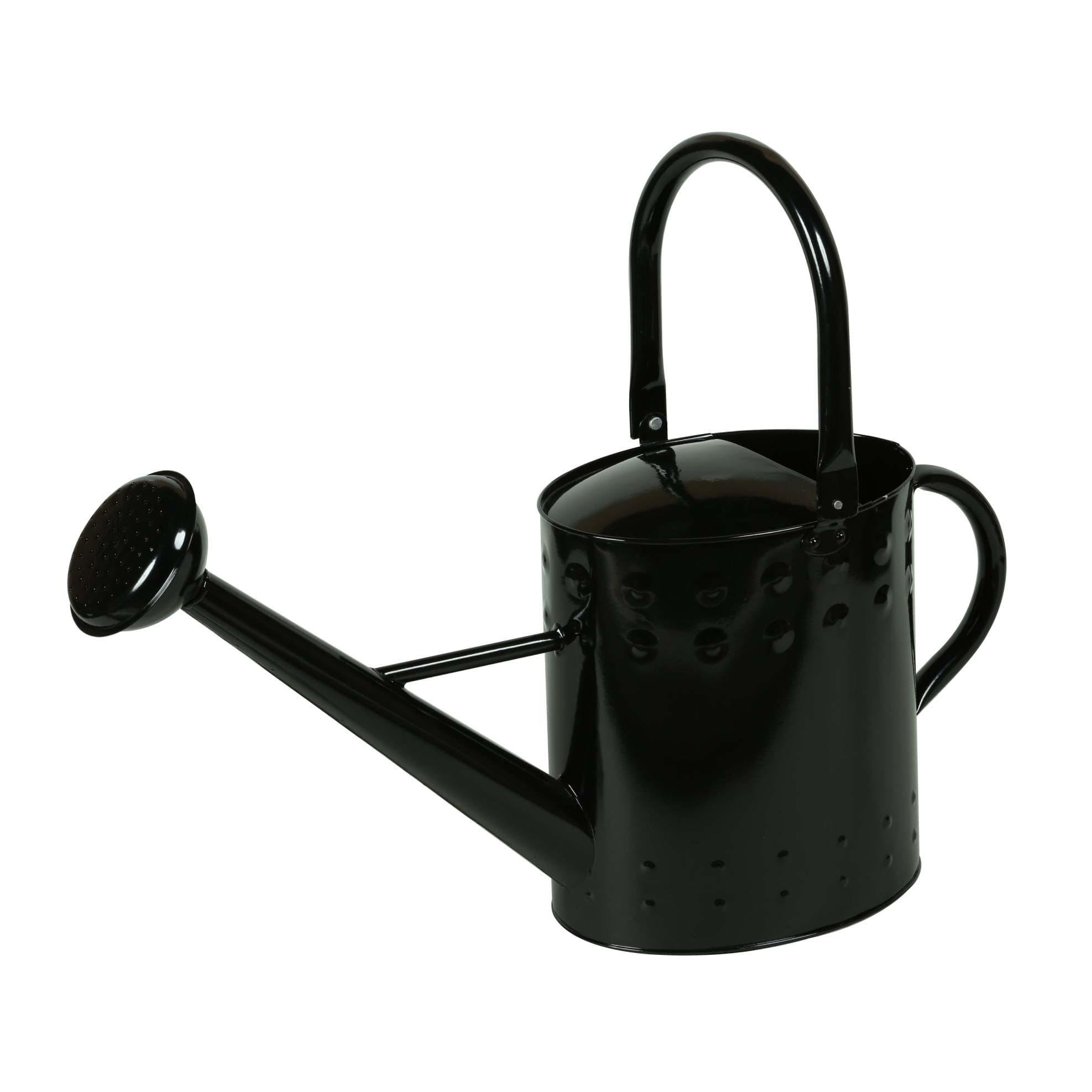 ジョウロ 9.5L（ブラック） ジョーロ 水差し みずさし 水さし ハスロ 散水ノズル ノズル シャワー ピッチャー型 81518