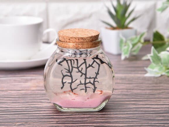 【癒しエビ】[ピクシーシュリンプ]大瓶/ピンク【熱帯魚 エビ】☆シュリンプ セット・飼育セット・アクアリウム エビ 観賞 インテリア 癒し 癒しグッズ ハワイ ハワイアン 雑貨 かわいい おしゃれ オシャレ 手軽 初心者 部屋 卓上 観賞用 プレゼント ギフト 贈り物