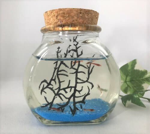 【癒しエビ】[ピクシーシュリンプ]大瓶/青熱帯魚 シュリンプ セット・飼育セット・アクアリウム エビ 観賞 インテリア 癒し 癒しグッズ ハワイ ハワイアン 雑貨 かわいい おしゃれ 手軽 初心者 喜ばれる 部屋 卓上 観賞用 プレゼント ギフト 贈り物