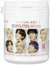【15時までのお支払い完了で即日出荷可(営業日のみ)】XYLITOL キシリトールガム BTS キシリトールボトル1個（Eパターン）
