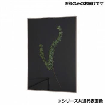 アルナ 額縁 シンプル ALUMIUM RIM マットシルバー B4 16687【送料無料】