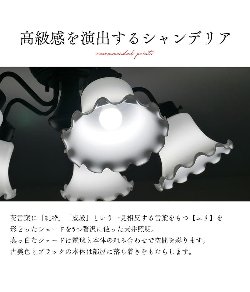【リモコン式シャンデリア】 シャンデリア リモコン led ヨーロッパ照明 西海岸 モダン 5灯 フラワー 天井照明 照明器具 E17 照明 おしゃれ LED対応 アンティーク 食卓用 リモコン リビング ダイニング 6畳 8畳 10畳 12畳 リモコン式 北欧 居間用 洋室 和室 寝室 直付け thumbnail 2