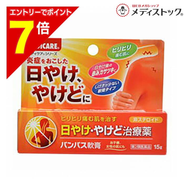 【ポイント7倍：2月まるまる延長 ※要エントリー】【第2類医薬品】【森下仁丹】メディケア パンパス軟膏 15g※お取り寄せになる場合もございます