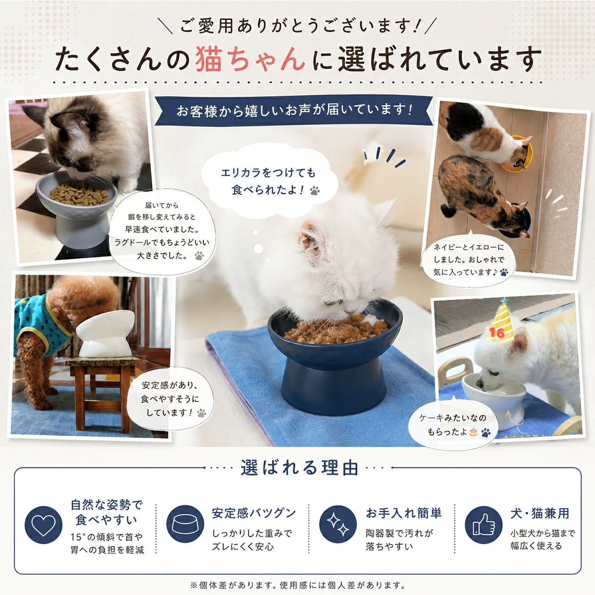 【2点で400円OFF】 猫 食器 フードボウル 斜め 猫 犬 食器 餌入れ 陶器 ご飯皿 エサ皿 高さがある 食べやすい ペット 猫用食器 エサ入れ 猫皿 吐き戻し軽減 早食い防止 ペット用 ご飯台 小型犬 フード 傾斜 ペットボウル セラミック 水飲み器 おしゃれ かわいい お皿 thumbnail 3