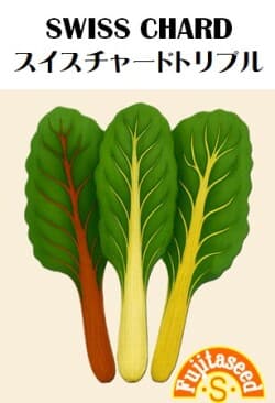 野菜種【　スイスチャード　トリプル　】藤田種子