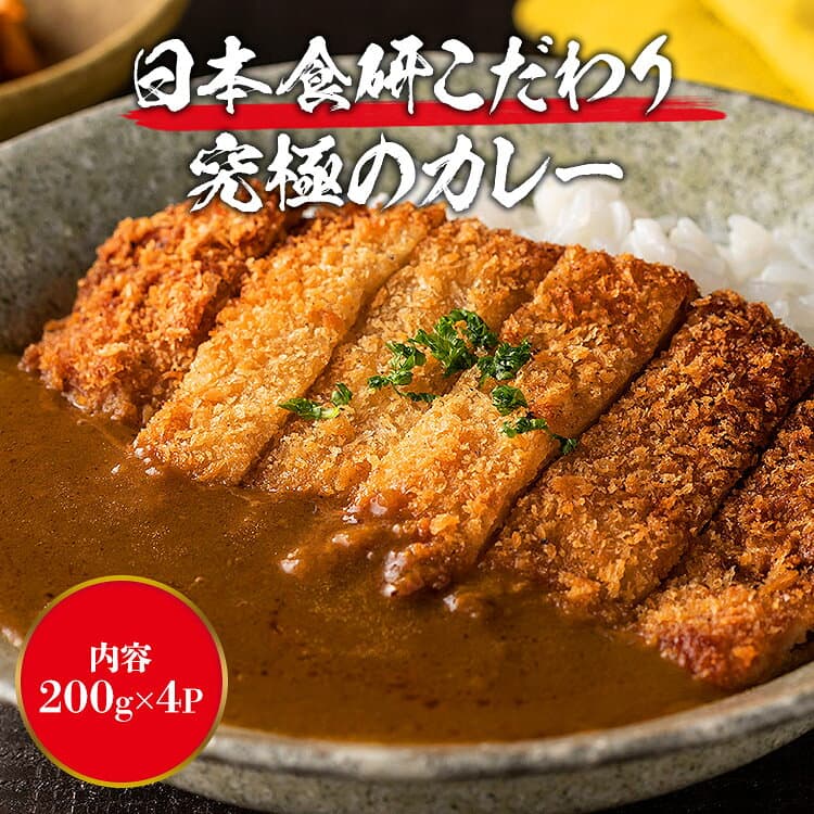 ＼ 1000円ポッキリ 送料無料 ／【楽天グルメ大賞3年連続受賞】 カレー レトルト 食研カレー 200g×4袋 4人前 中辛 業務用 レトルト 日本食研 保存食 災害 備蓄 食料 惣菜 ポイント消化 森源商店 ギフト thumbnail 2