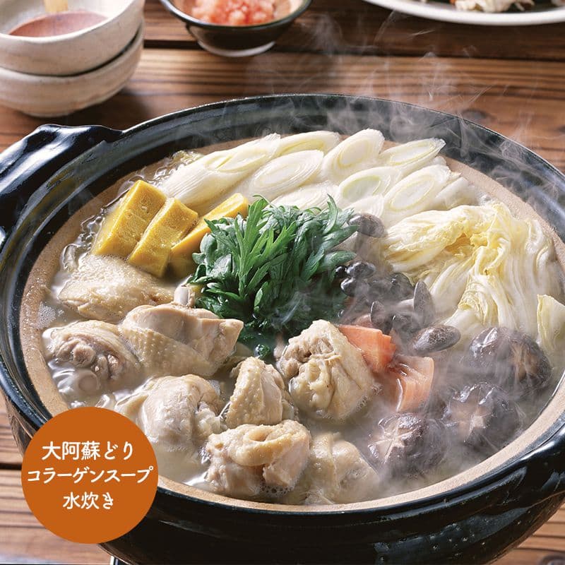 早割 お歳暮 2026 熊本 大阿蘇どり コラーゲンスープ水炊き (手羽先・骨付モモ肉・ムネ肉 各200g、スープ付) 鍋 肉 鶏 国産 惣菜 SK1242 お取り寄せ 特産 お祝い 詰め合わせ 内祝い お礼 ギフト おかず おかずセット 送料無料 プレゼント お返し 御歳暮