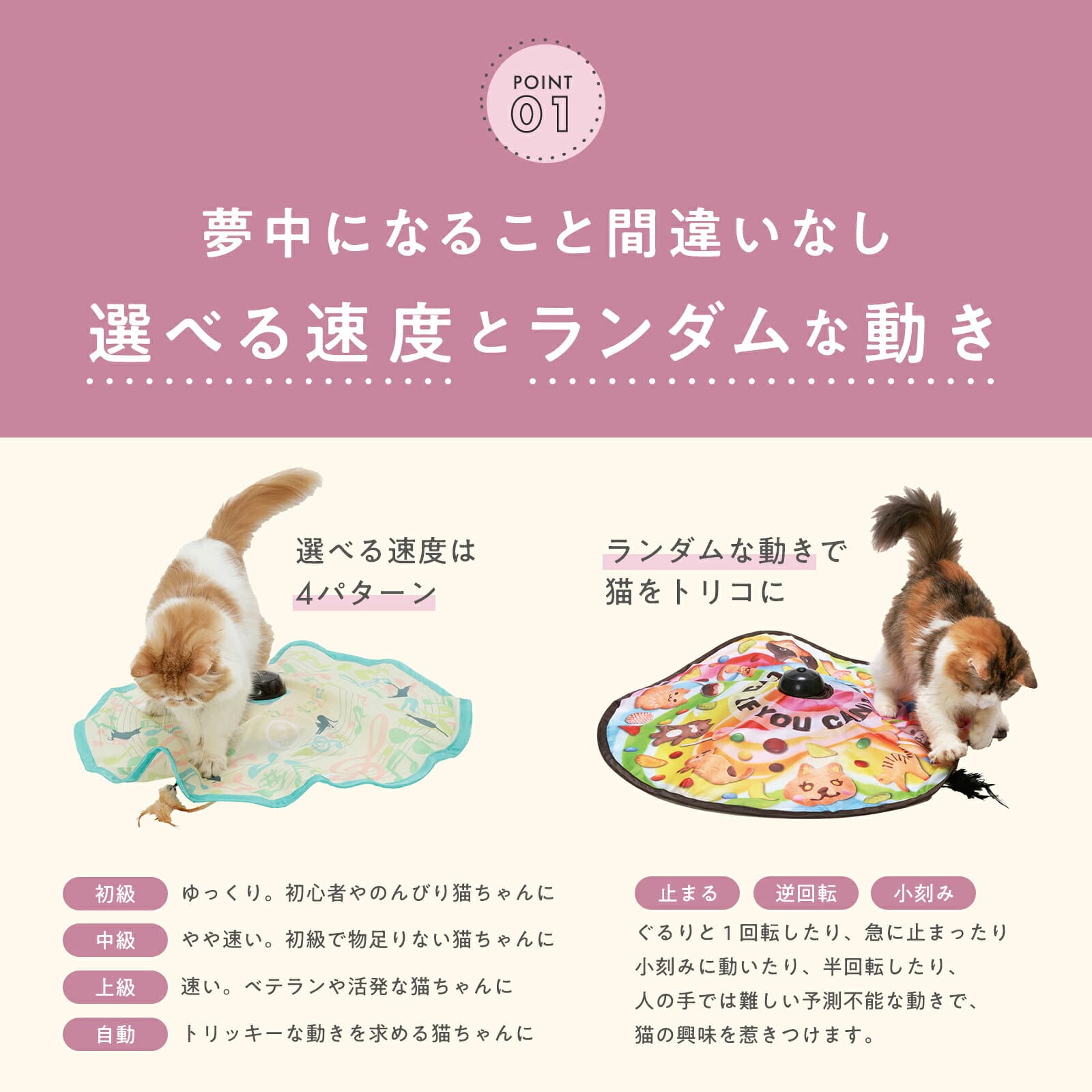 猫壱公式 キャッチ・ミー・イフ・ユー・キャン2 猫玩具 猫おもちゃ キャチミーイフユーキャン2 cat toy キャッチミー 猫 ネコ ねこ 猫用品 ねこいち thumbnail 3