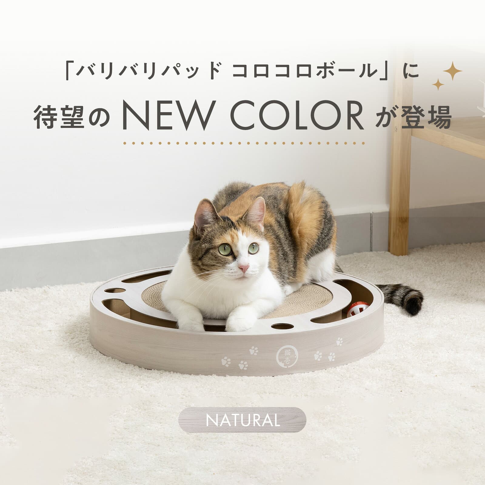 猫壱公式 バリバリパッド コロコロボール 猫爪研ぎ 爪研ぎ 猫 爪とぎ つめとぎ 段ボール ダンボール 猫ベッド 猫つめとぎ人気 猫 ネコ ねこ 猫用品 ねこいち thumbnail 3
