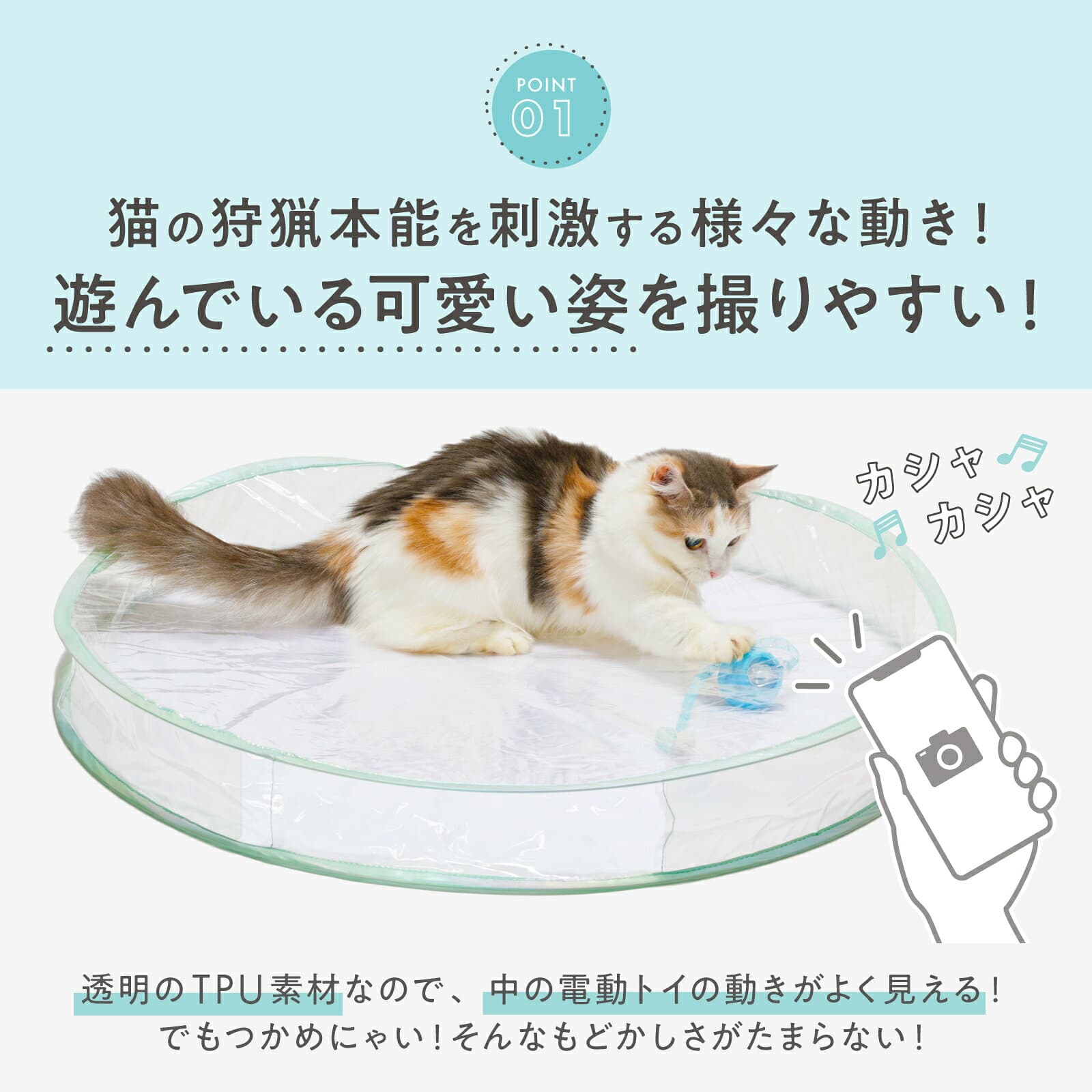 猫壱公式 キャット電動トイ クリア 猫玩具 猫おもちゃ キャチミーイフユーキャン2 cat toy キャッチミー 猫 ネコ ねこ 猫用品 ねこいち thumbnail 3