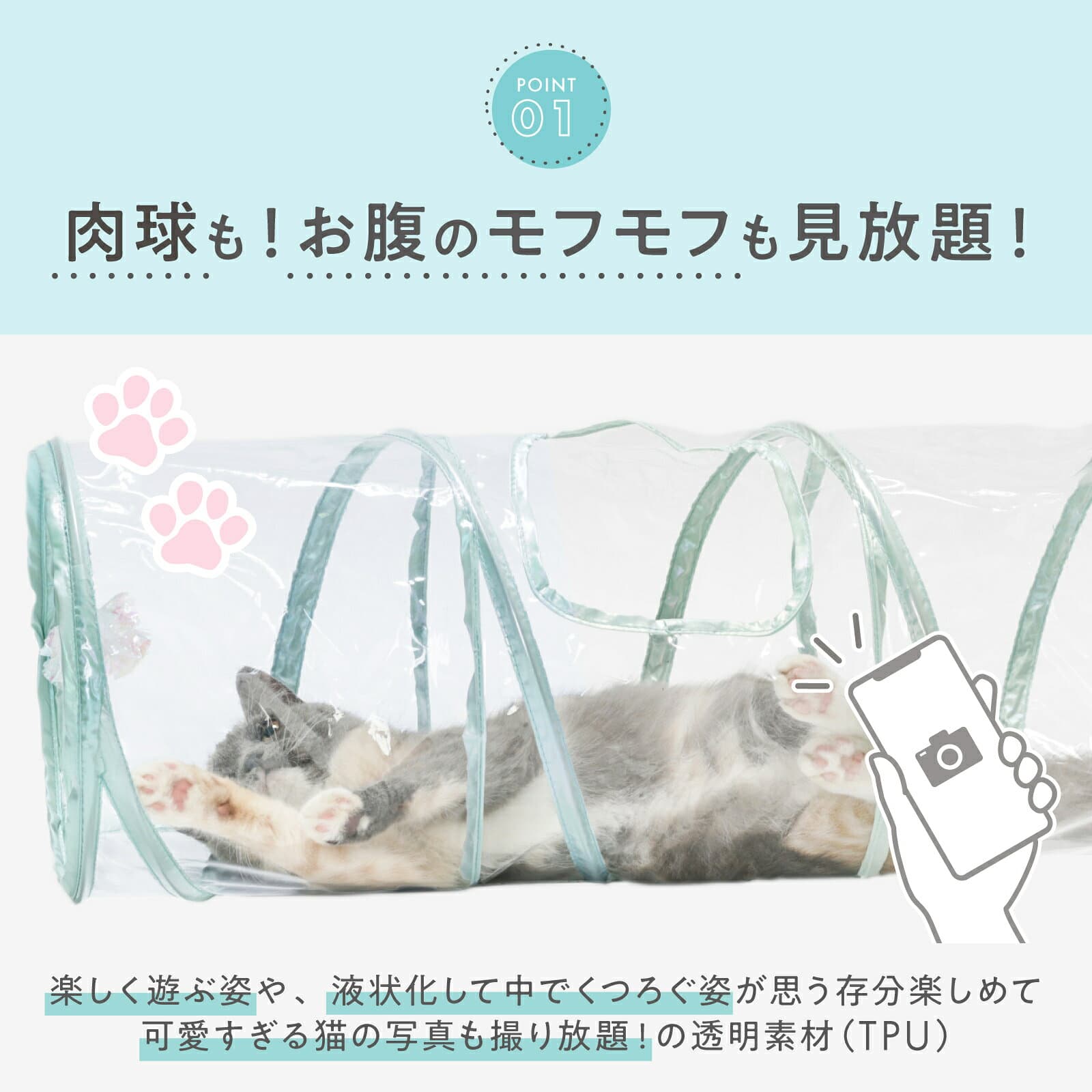 猫壱公式 キャットトンネル クリア 猫玩具 猫おもちゃ 猫壱トンネル ペット トンネル キャットトンネル cat toy 猫トンネル 人気猫とんねる 猫 ネコ ねこ 猫用品 ねこいち thumbnail 3