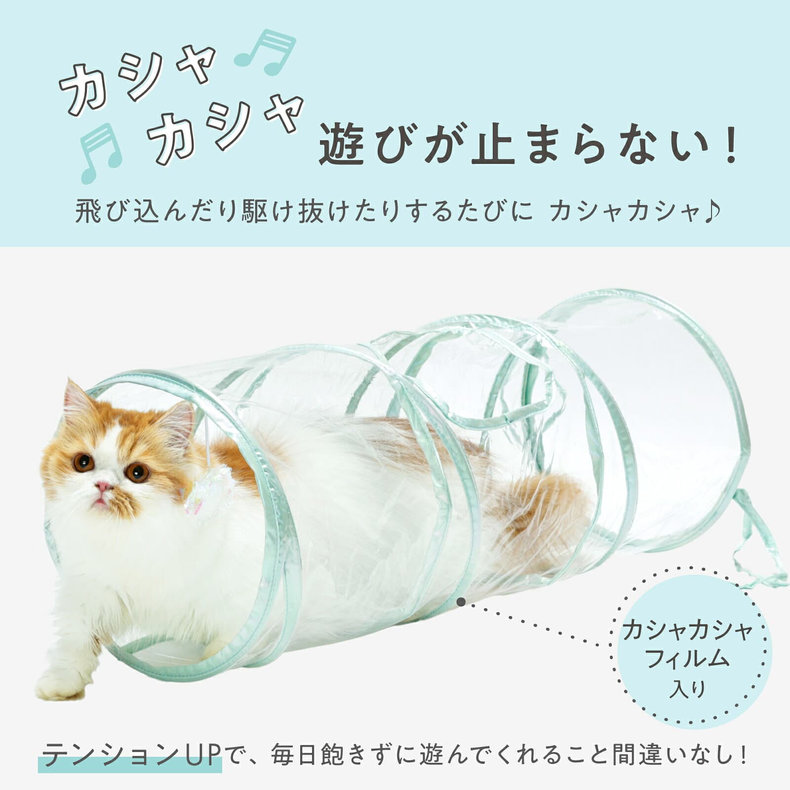 猫壱公式 キャットトンネル クリア 猫玩具 猫おもちゃ 猫壱トンネル ペット トンネル キャットトンネル cat toy 猫トンネル 人気猫とんねる 猫 ネコ ねこ 猫用品 ねこいち thumbnail 2