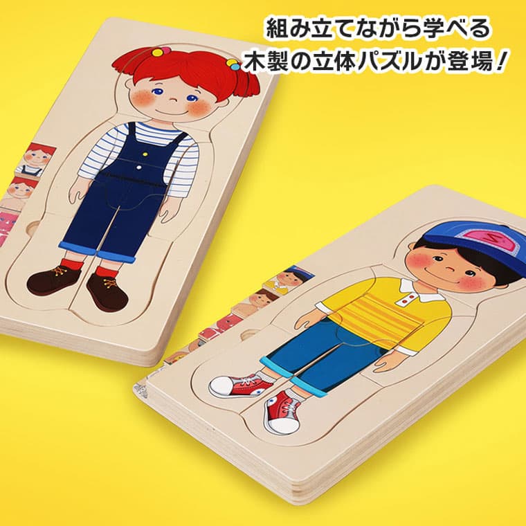 マラソン最終日！10%off 知育パズル 人体構造 ボディ モンテッソーリ 木製 ギフト 嬉しい 袋 子供会 景品 交換 パズル おもちゃ 知育玩具 知育おもちゃ 3歳 4歳 セット 子供 キッズ ベビー 赤ちゃん 男の子 女の子 子供用 プレゼント 秋 ハロウィン thumbnail 3