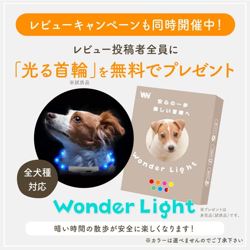 ＼レビュー1700件超／ ドライブベッド ドライブボックス 犬 車 シート ペット 洗える 獣医師推奨 耐荷重15kg 多頭飼い 2匹 伸縮リード2本付 滑り止め付 厚手ふかふか クッション 肩掛け 2way 助手席 後部座席 軽自動車対応 小型犬 中型犬 旅行 お出かけ thumbnail 2