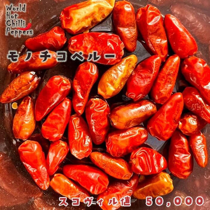 予約販売 トウガラシ苗 モノチコペルー 9cmポット 唐辛子 とうがらし 野菜苗 家庭菜園 nft 5月下旬以降発送