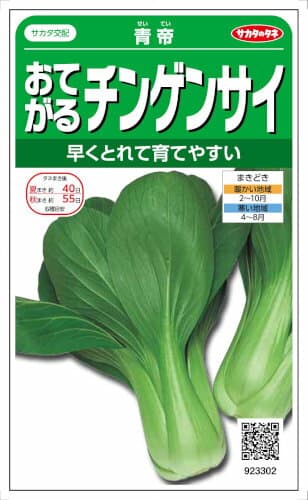 サカタのタネ チンゲンサイ おてがるチンゲンサイ 青帝 3.6ml【郵送対応】