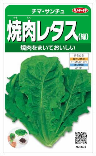 サカタのタネ　焼肉レタス　チマサンチュ（緑）　3.5ml